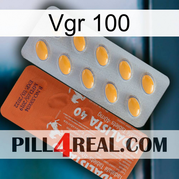 Vgr 100 43.jpg